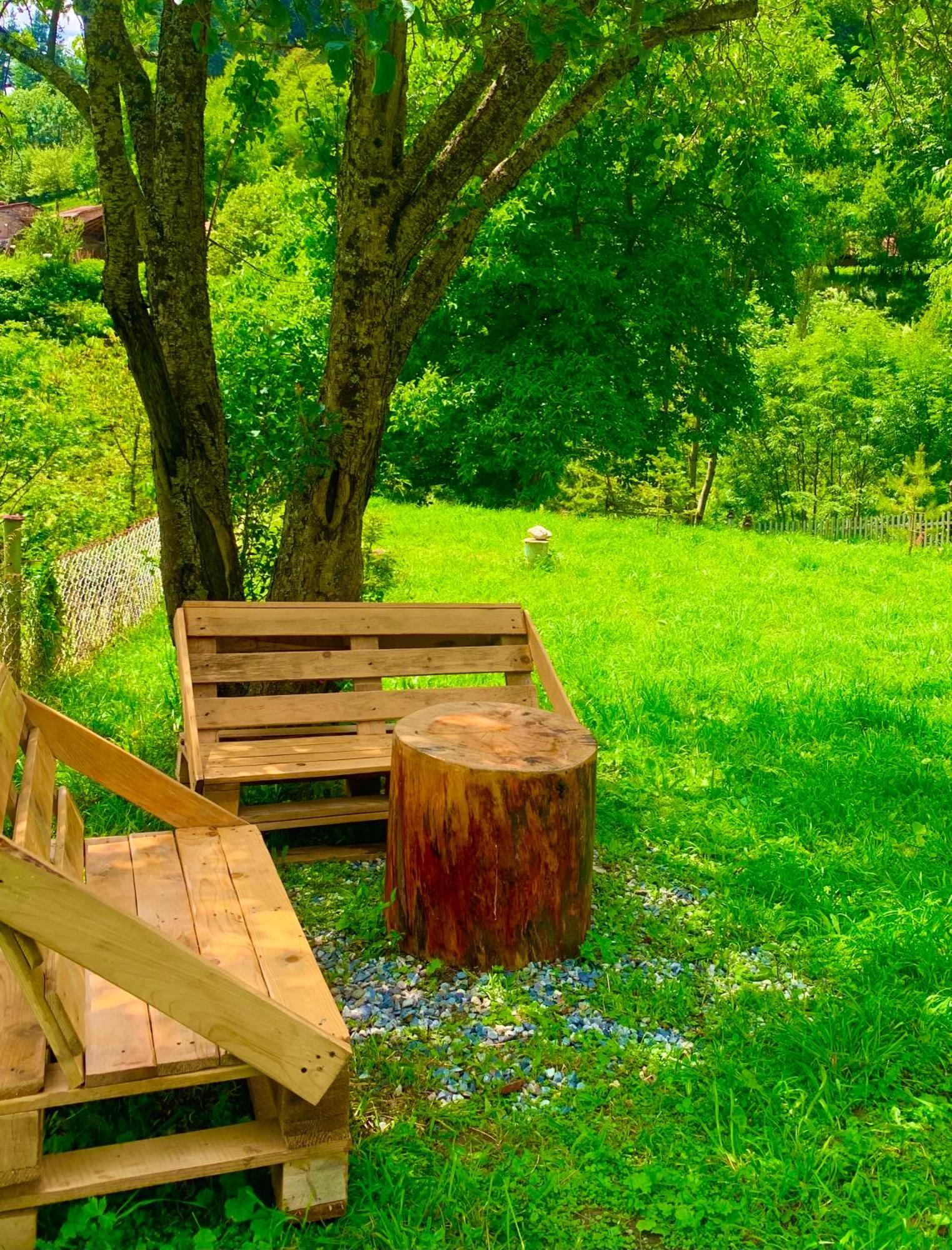 River Side Svaneti メスティア エクステリア 写真