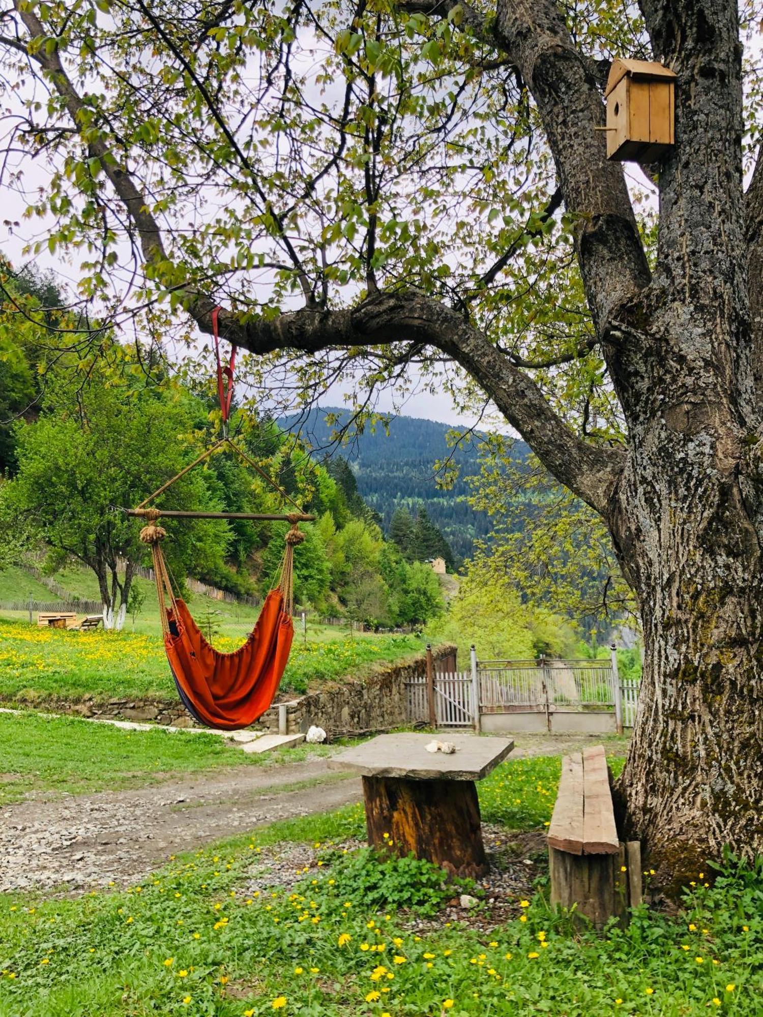 River Side Svaneti メスティア エクステリア 写真