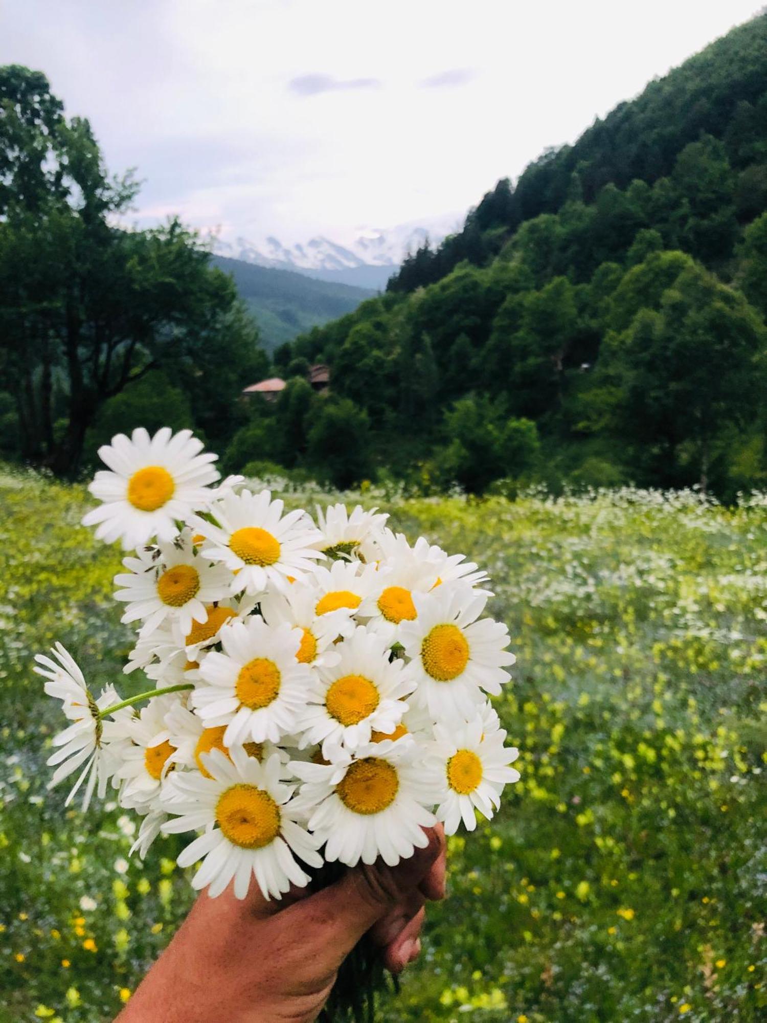 River Side Svaneti メスティア エクステリア 写真